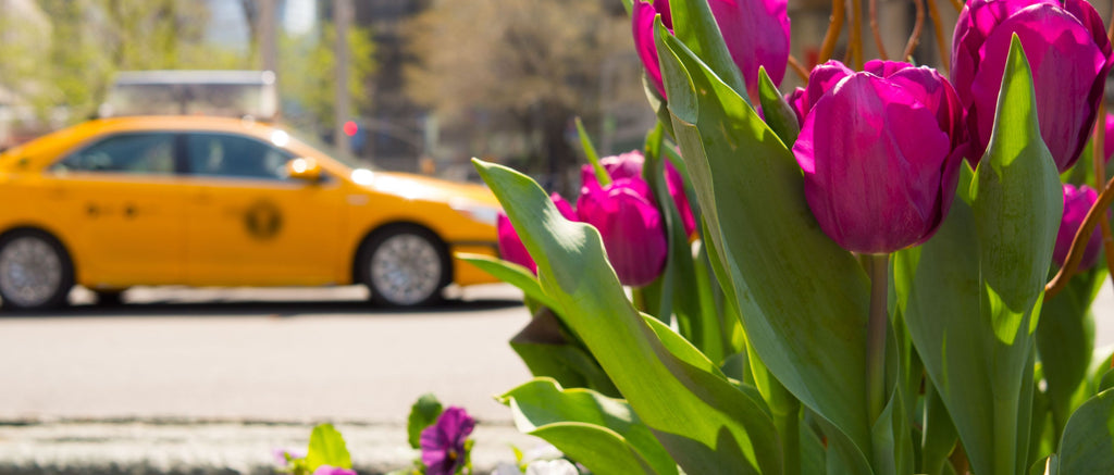 New York Street with Flowers 