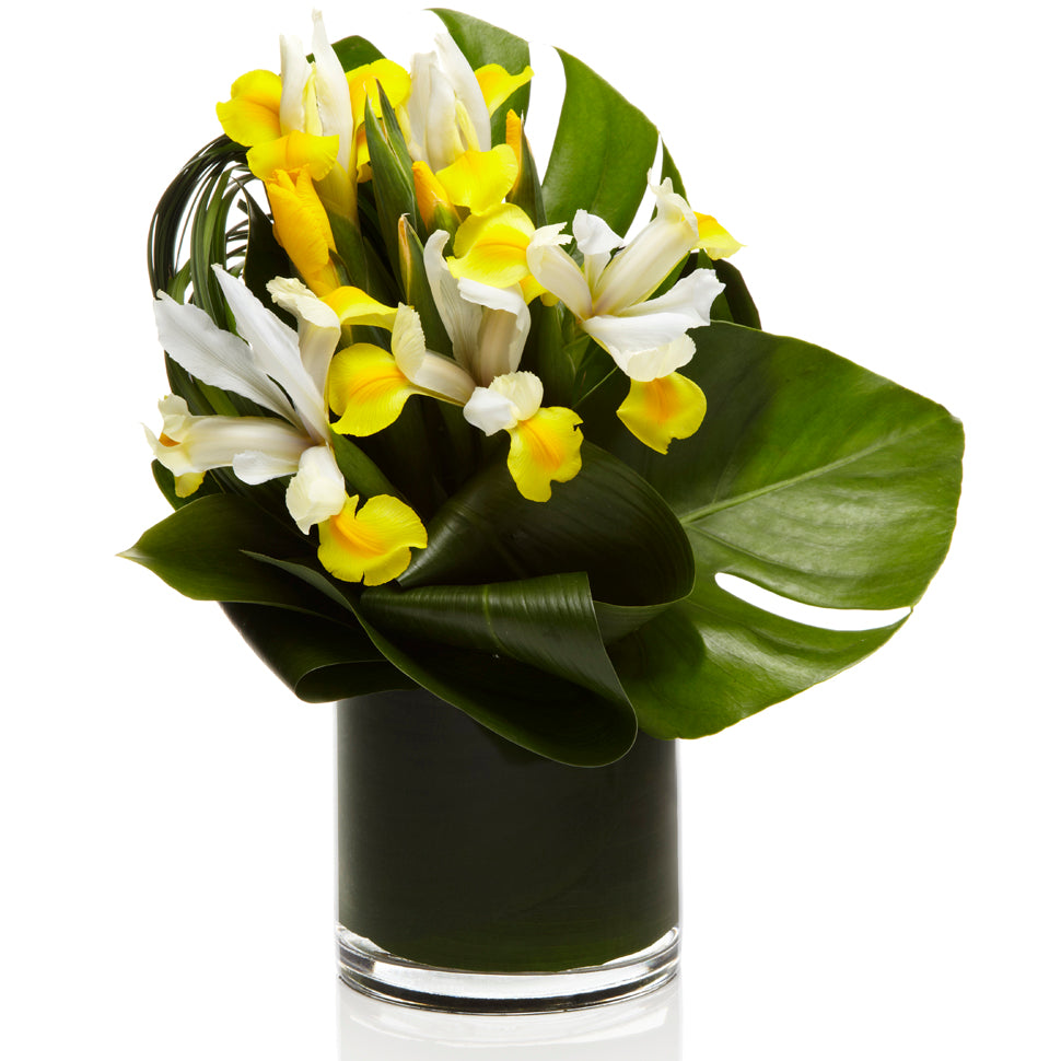 A sunny mixed arrangement of yellow iris, daffodils, and other yellow seasonal blooms.
