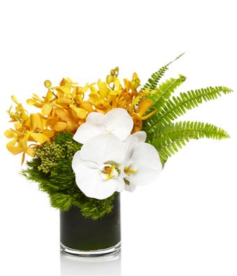White and Gold Orchid Varieties with Modern Grass Accents - H.Bloom
