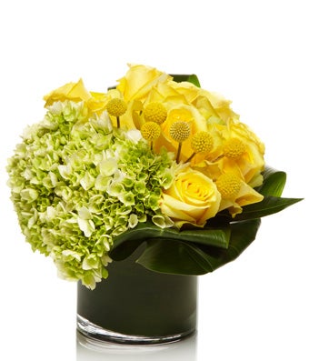 A Luxury Arrangement of Green Hydrangea and Yellow Roses - H.Bloom