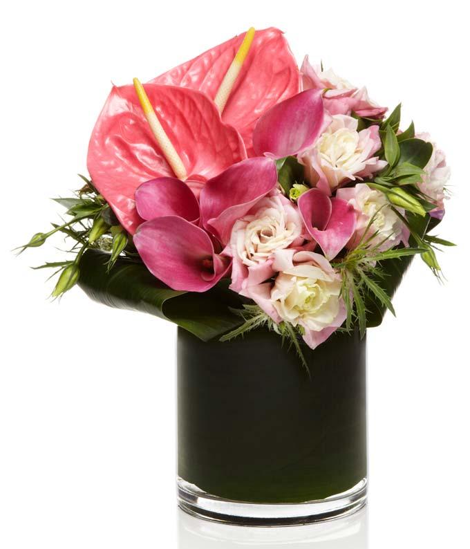 A beautiful all pink arrangement of Pink Anthurium, Calla Lilies, and Roses elegantly arranged