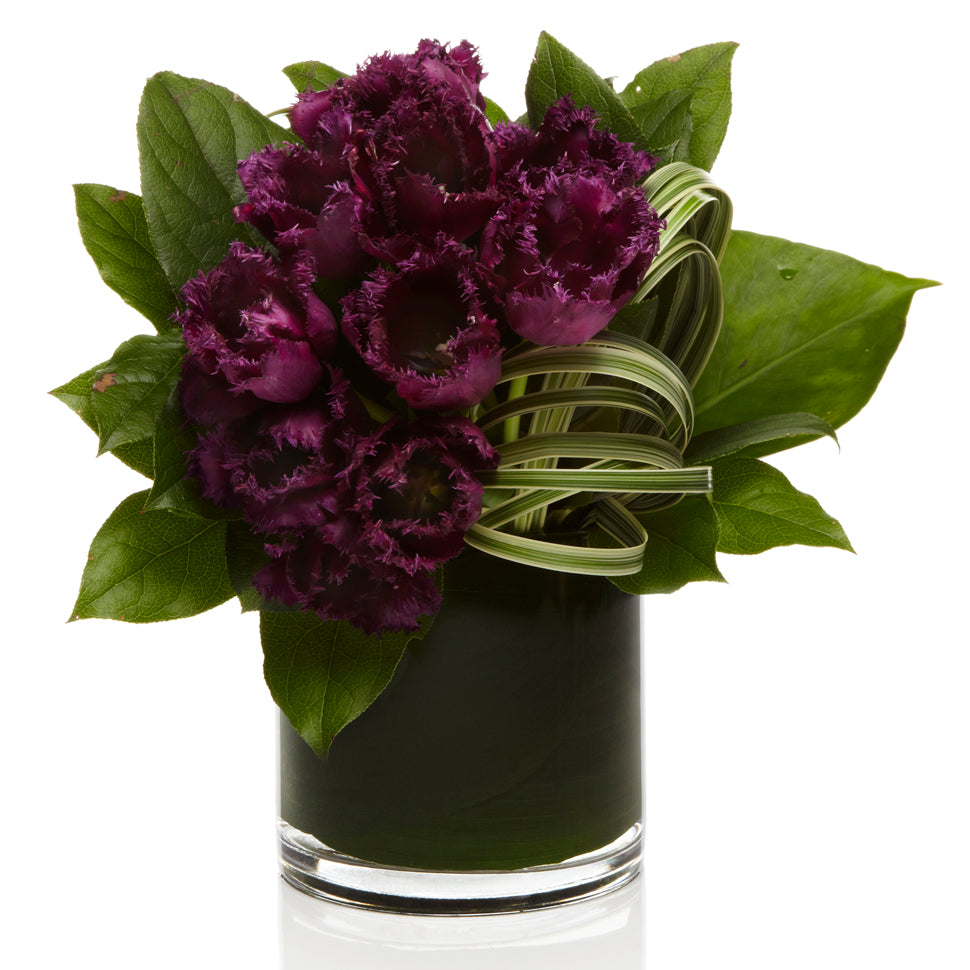 Purple Specialty Tulips with seasonal greens - H.Bloom