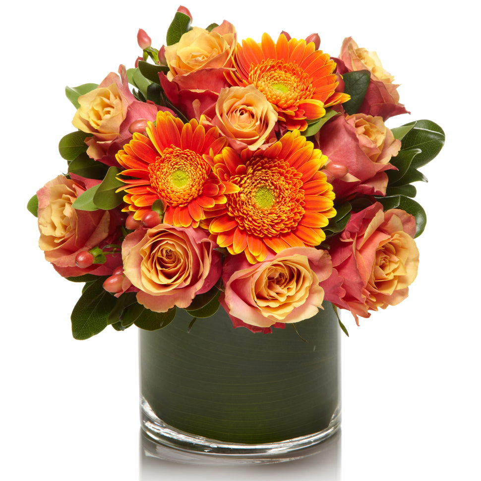 A Fresh Arrangement of Orange/Coral Roses and Daisies - H.Bloom