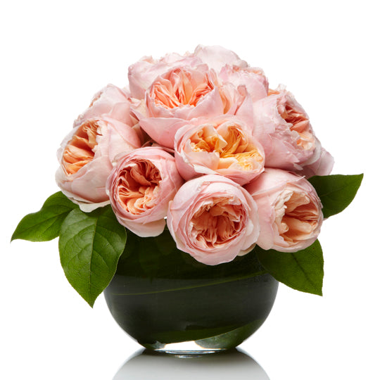 A lush arrangement of Peach Garden Roses- H.Bloom