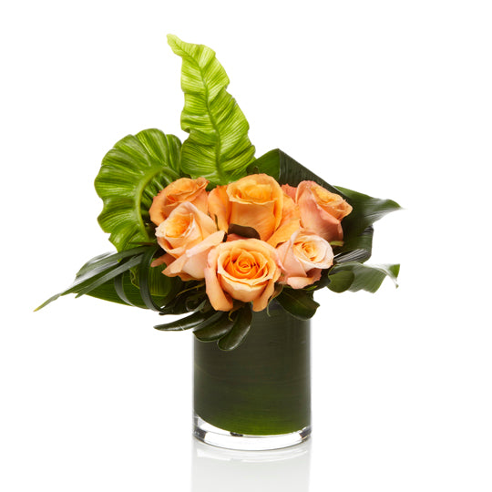 Luxury Soft Orange Rose Arrangement - H.Bloom