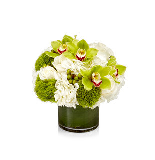 Luxury Arrangement White Hydrangea and Lime Green Orchids and Berries - H.Bloom
