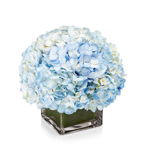 Luxury Blue Hydrangea Arrangement- H.Bloom