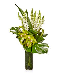 A Luxury Arrangement of Green Cymbidium Orchids and White Snapdragons- H.Bloom