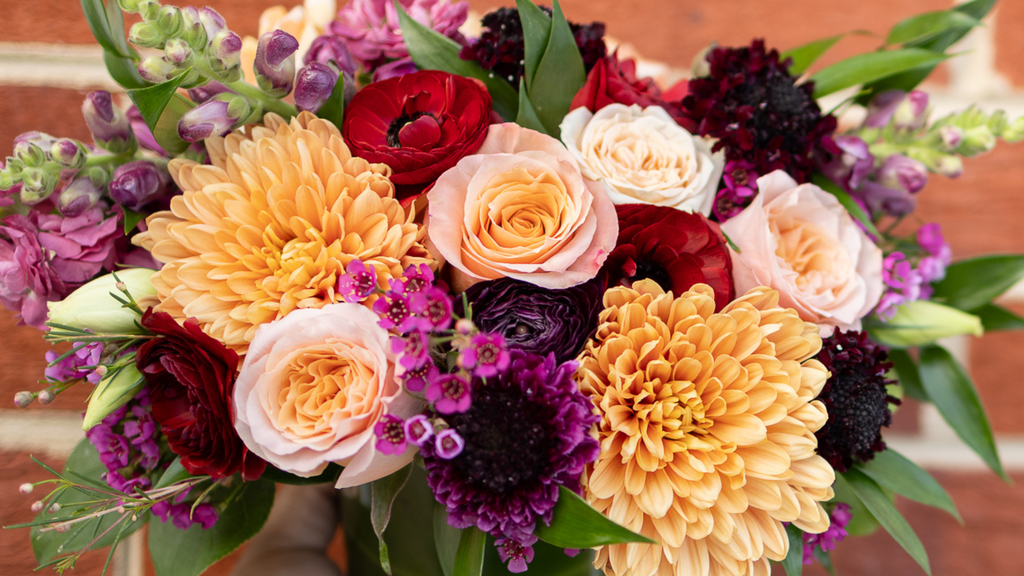 Best Autumn Blooms for Any Occasion