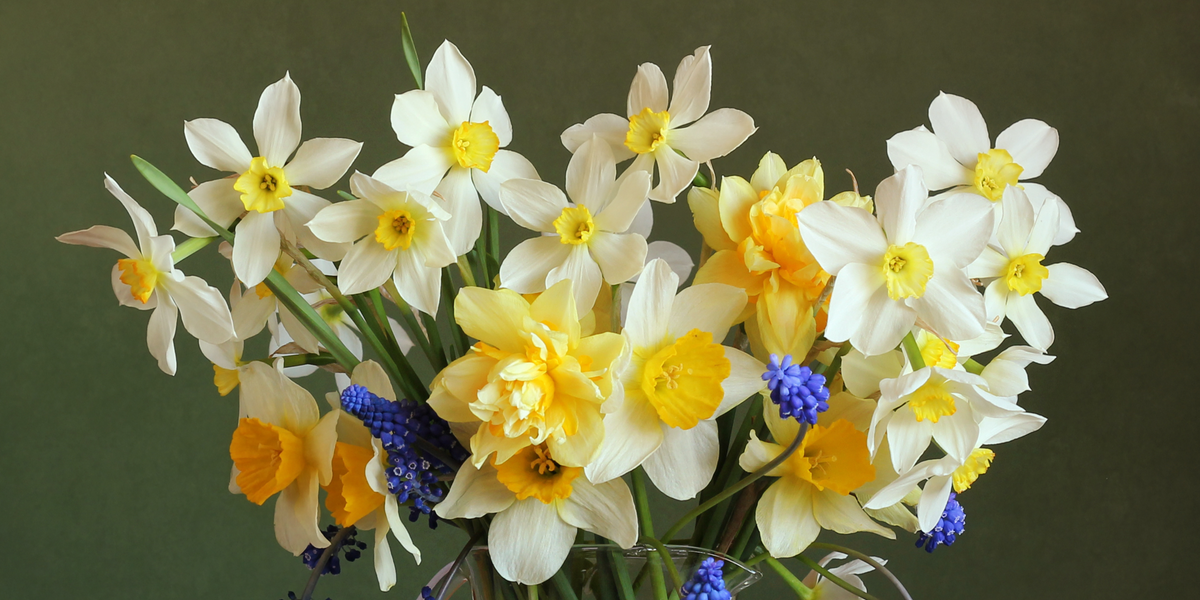 5 Reasons Why Flowers Make Perfect Spring Gifts – H.Bloom