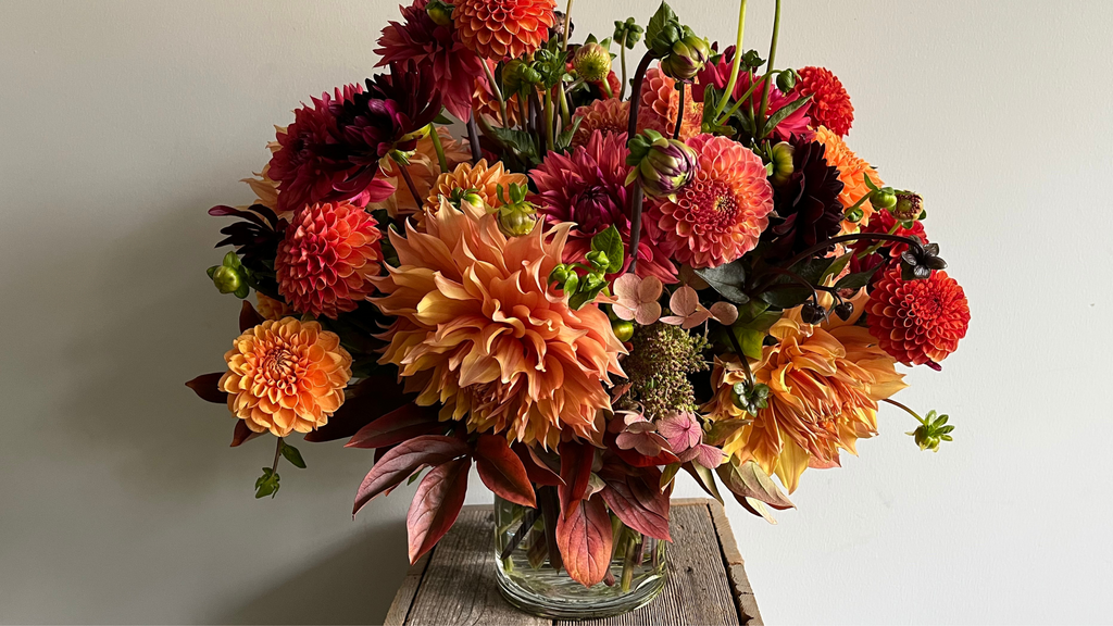 Our Favorite Fall Flowers