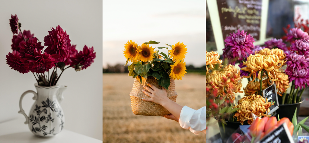 Top 3 Fall Flowers That Will Always Be On Our Favorite Florals List