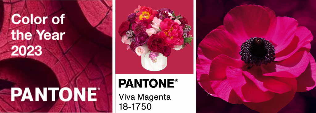 Bringing the 2023 Pantone Color of the Year to Flowers