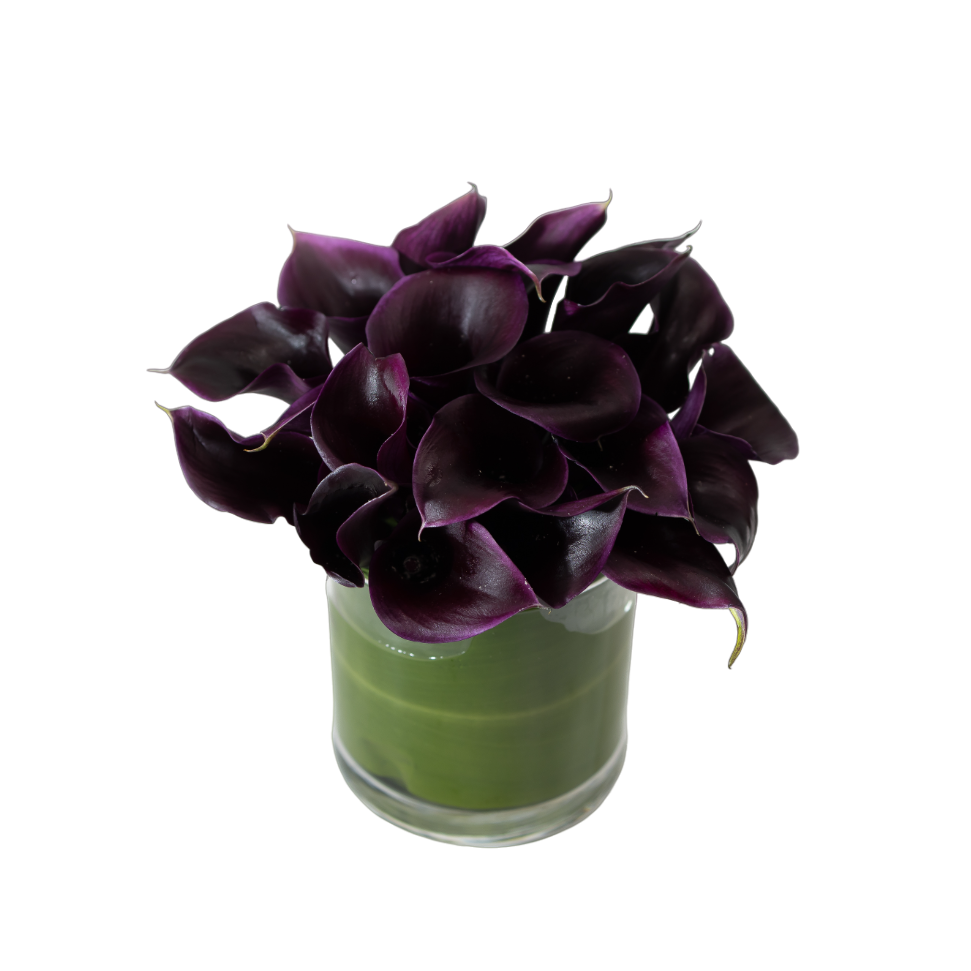 Black Calla Lily Cylinder – H.Bloom