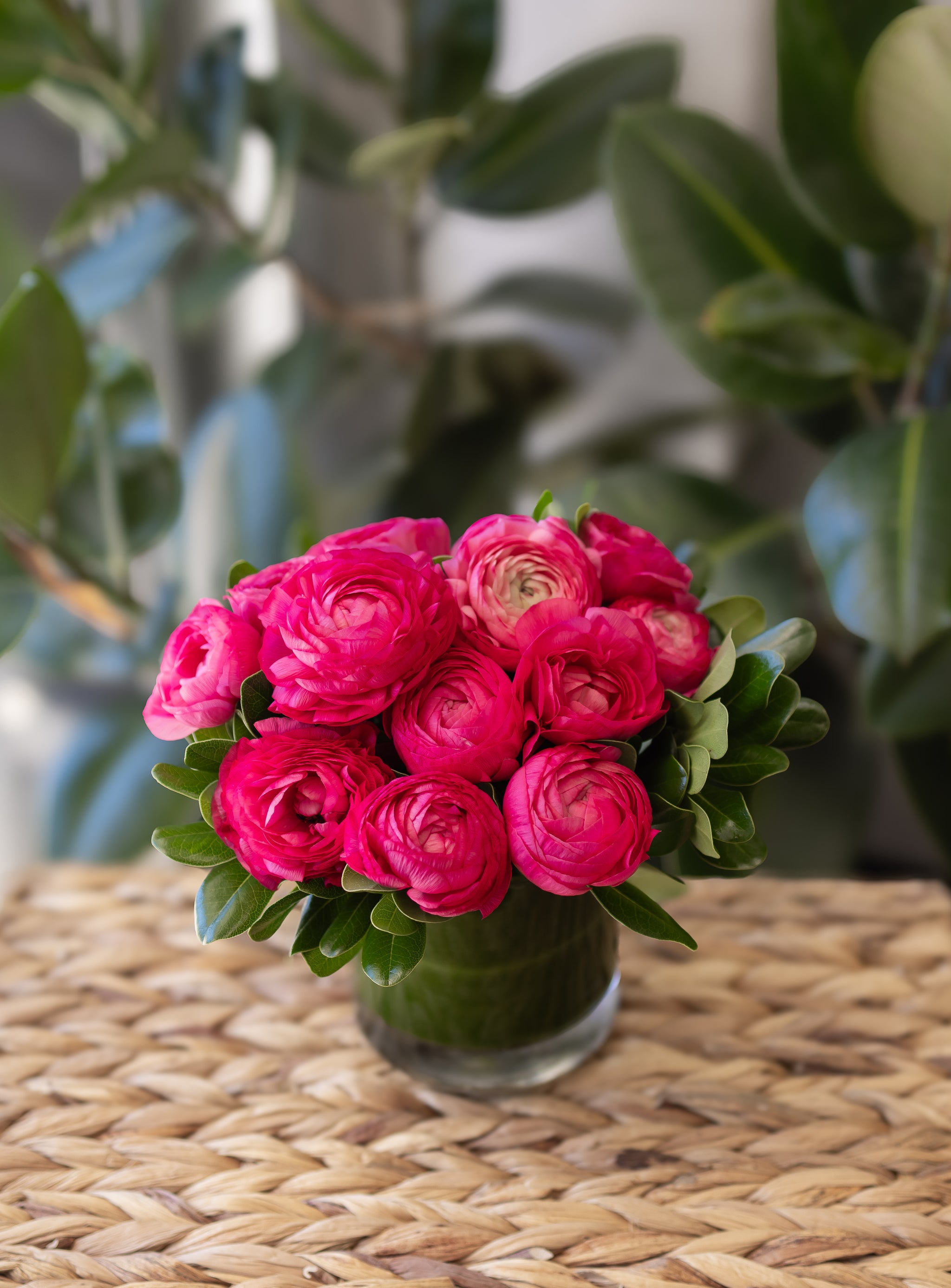 HB_Ranunculus_En_Vogue1_2048x.