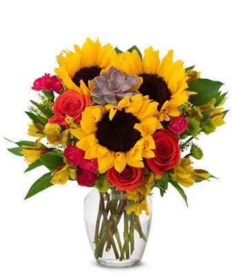 IMPORTED - Sunflower Succulent Bouquet - H.Bloom