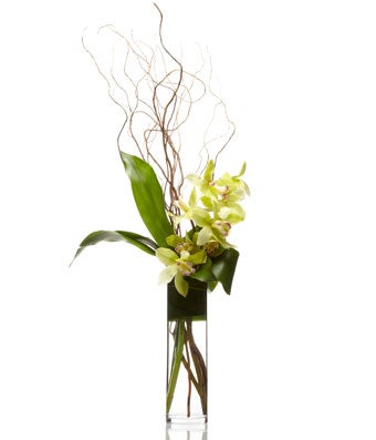 A simple and refined arrangement of lime cymbidium orchids accented with modern greens and branches.