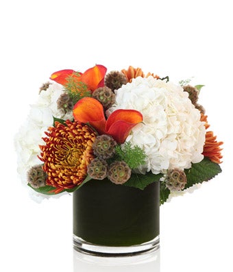 A Luxury Arrangement of White Hydrangea, Amber Chrysanthemum, and Orange Calla Lilies - H.Bloom