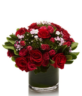 Beautiful Red Roses and Seasonal Pink Blooms- H.Bloom