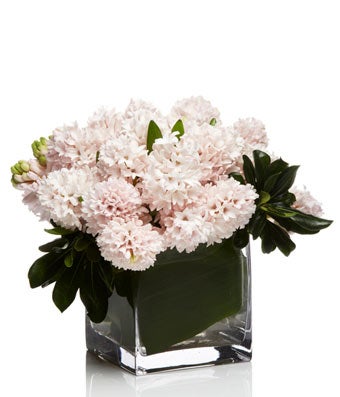 A Luxury Arrangement of Light Pink Hyacinth - H.Bloom