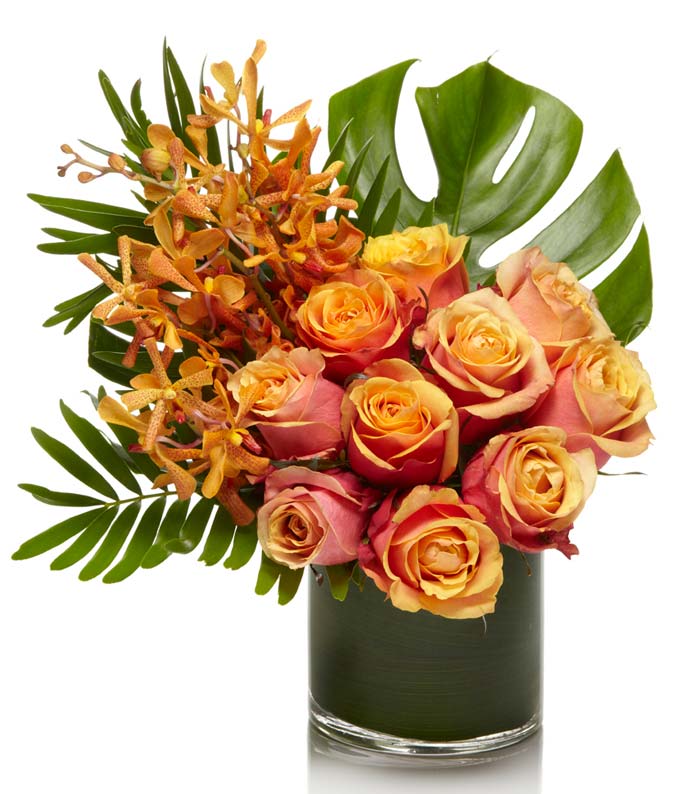 An exotic arrangement of premium orange floral with fun tropical greens.