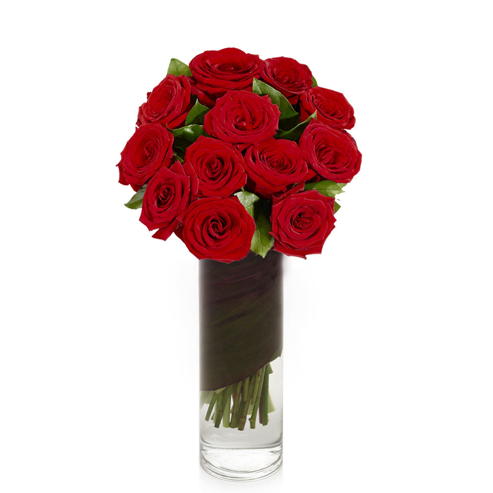 1 Dozen Red Roses in Vase - H.Bloom