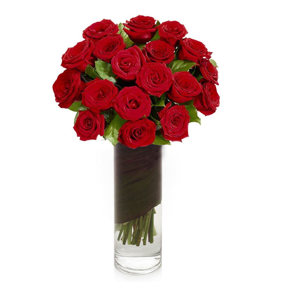 2 Dozen Red Roses in Vase - H.Bloom