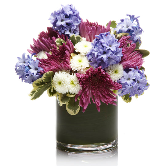 Purple and White Mums with Lavender Hyacinth in Artfully Arranged - H.Bloom