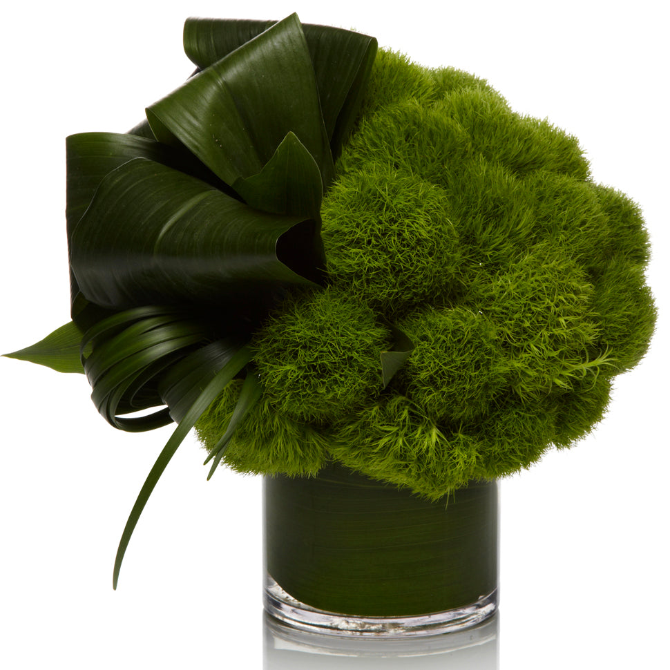 A Unique Arrangement of Green Dianthus and Aspidistra Greens - H.Bloom