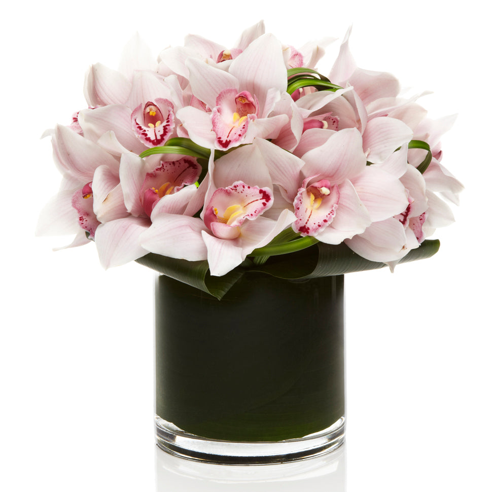 Luxury Blush Cymbidium Orchid Arrangement - H.Bloom