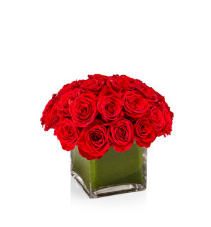 A low arrangement of 18 Premium Red Roses - H.Bloom
